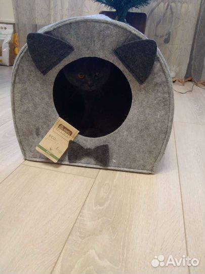 Домик для кошки