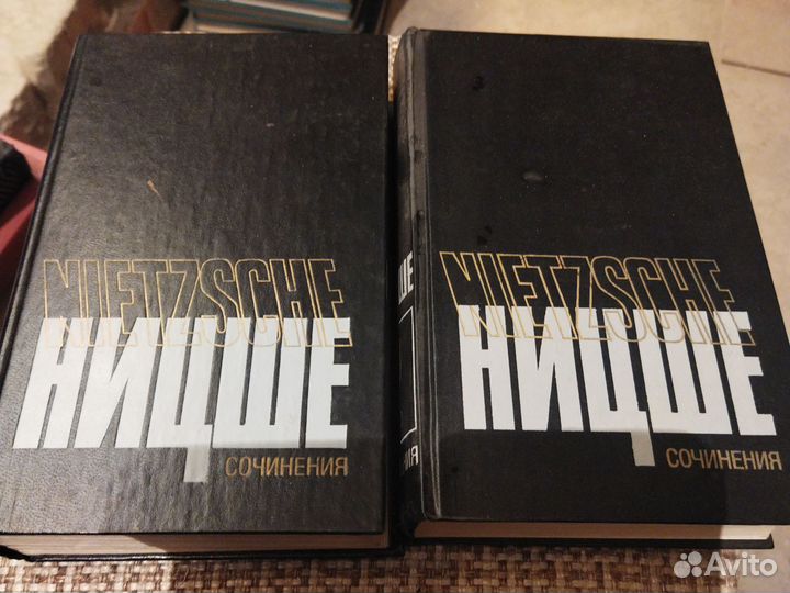 Ницше в 2 томах
