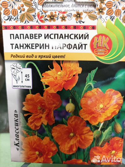 Папавер испанский