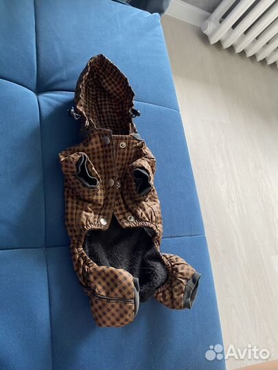 Комбинезон для маленькой собаки