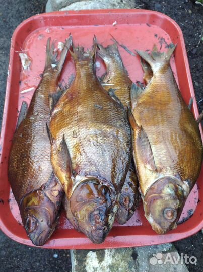 Рыба речная