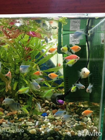 Все для аквариума