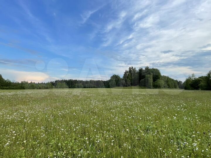 Участок 20 сот. (СНТ, ДНП)