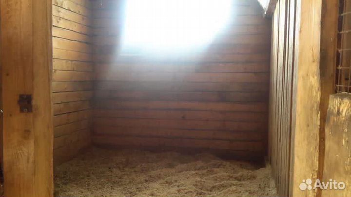 Постой для лошади