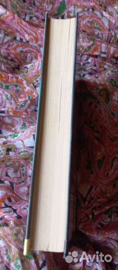 Бернхард Хеннен, Меч эльфов, Рыцарь из рода Других