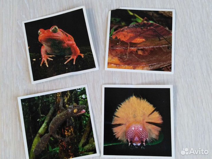 Наклейки, стикеры. Спар, Билла, Карусель