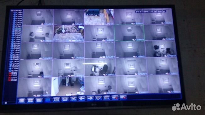 Передержка, гостиница для кошек и котов в Тольятти