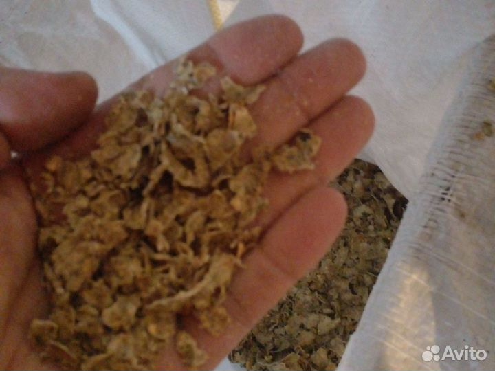 Жмых семян тыквы