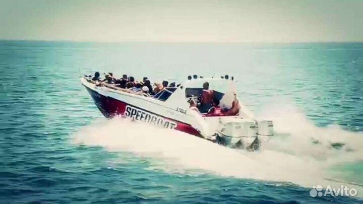 Аренда катера или яхты в Алуште. Рыбалка с катера