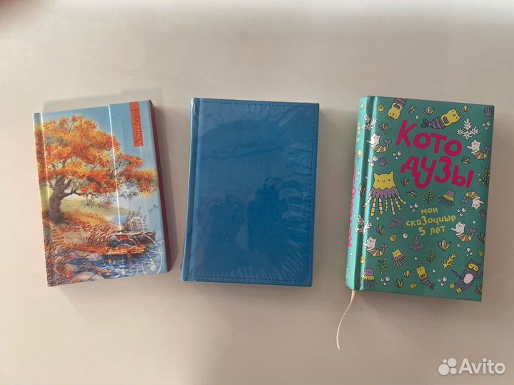 Блокноты ежедневники