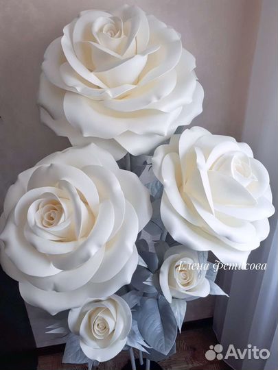 Ростовые цветы, большие цветы