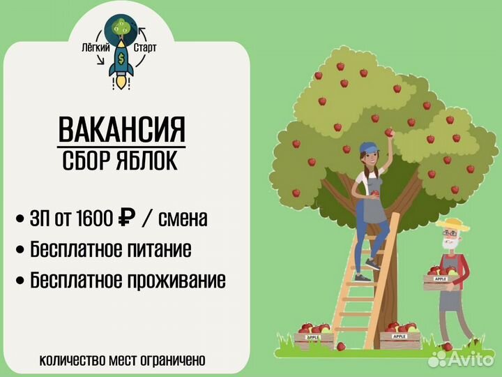 Работа вахтовым методом