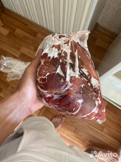 Дикий кабан