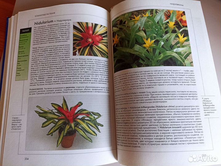 Комнатные растения справочник
