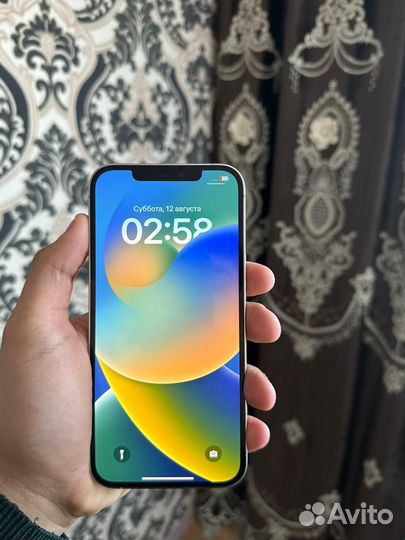 iPhone 12 pro max