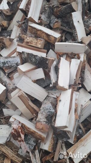 Дрова береза