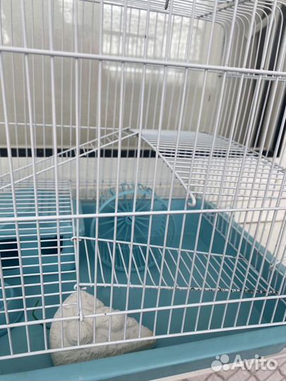 Клетка для джунгарского хомяка