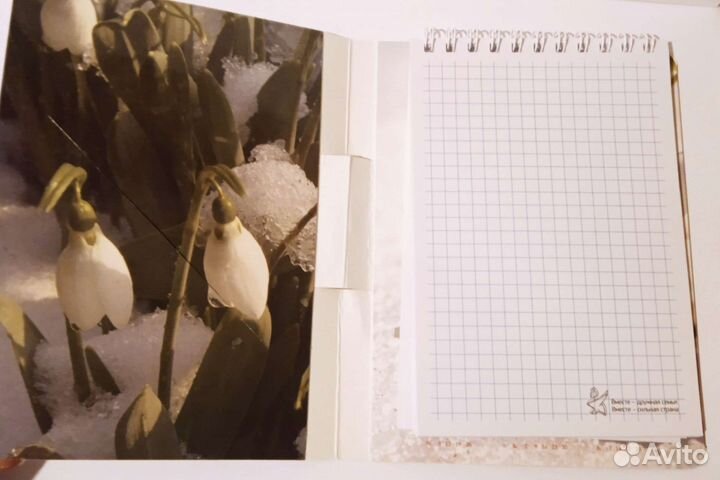 Блокноты, ежедневник, фотоальбом