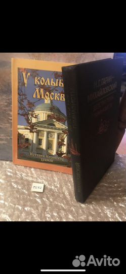 Гарин-Михайловский, Н.Г. Детство Темы. Гимназисты