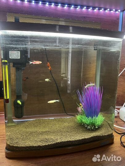 Аквариум