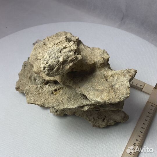 Декор для аквариума 250х120х160