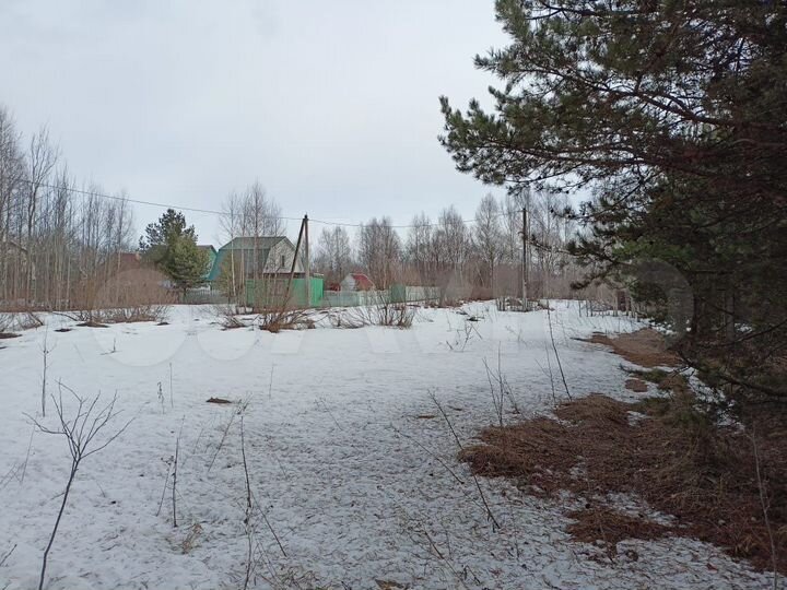 Участок 8 сот. (СНТ, ДНП)