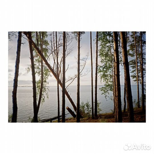 Плёночный фотоаппарат Samsung Fino 21c