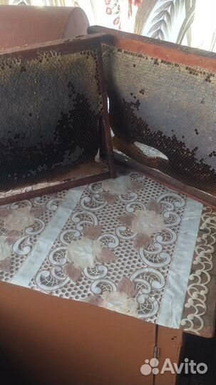 Рамки с мёдом кормовые медоперговые