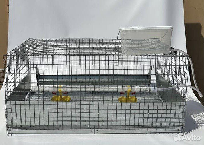 Клетки новые для кур бройлеров
