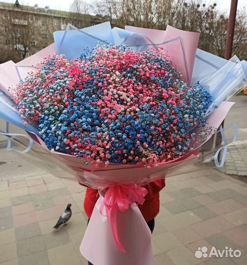 Гипсофила разных цветов