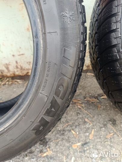 Tigar Winter 1 205/55 R16