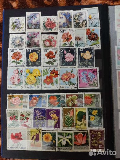 Почтовые марки