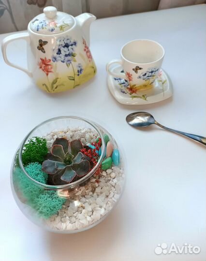 Флорариум, подарок, вместо цветов