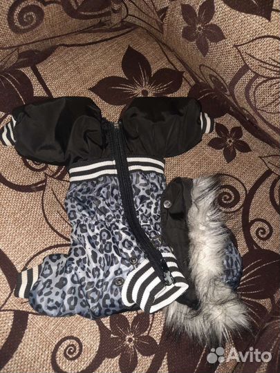 Одежда для собак