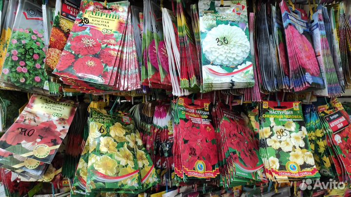 Семена цветы