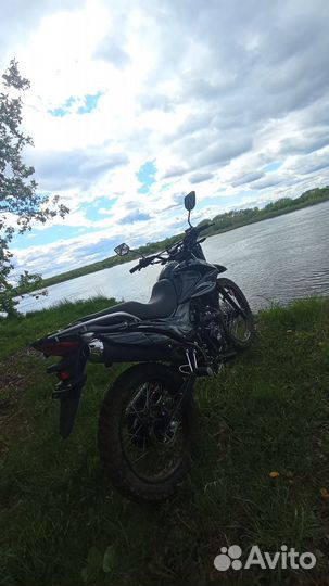 Зид 250