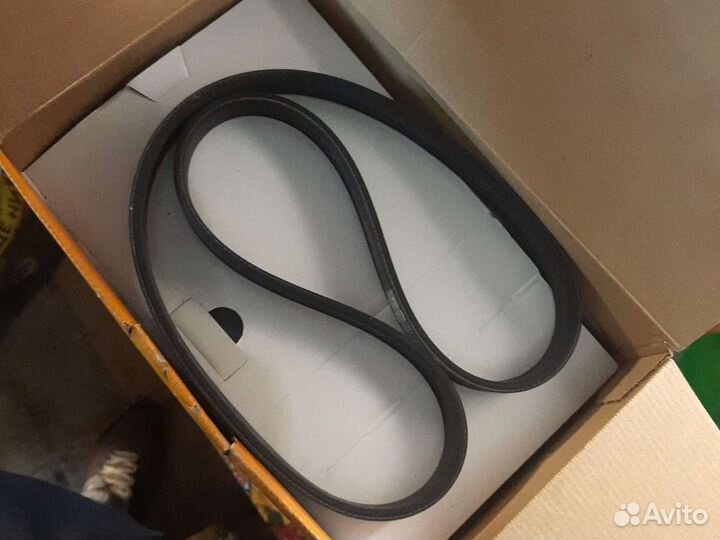 Ремни поликлиновые форд фокус 2