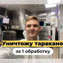 Уничтожение тараканов. Обработка от тараканов