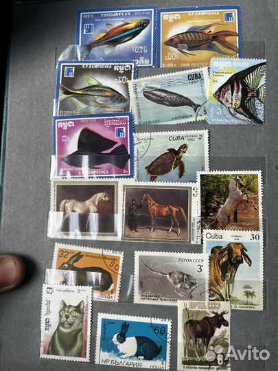 Коллекция почтовых марок