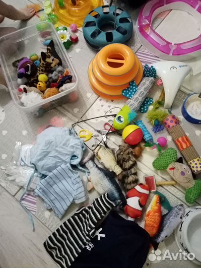 Игрушки, одежда, поилки для кошек, мелких собак