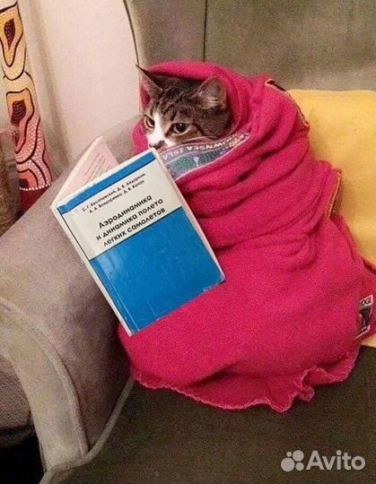 Репетитор по аэродинамике, газодинамике