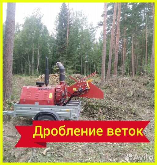 Расчистка участка