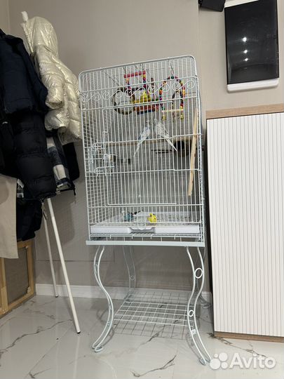 Golden cage Клетка для птиц А80 54*54*134