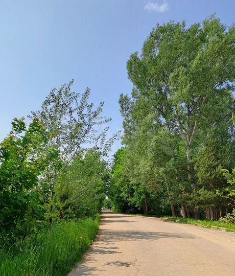 Участок 16,5 сот. (ИЖС)