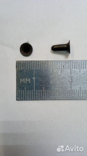 Хольнитены черные