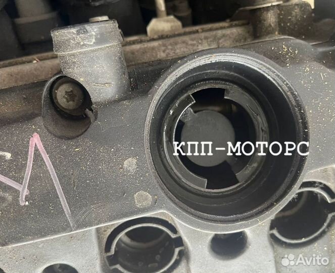 Двигатель VAG BVY Контрактный