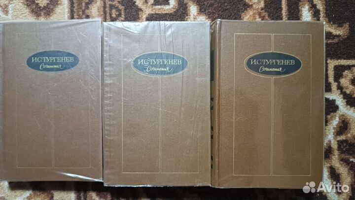 И. С. Тургенев. А. С. Пушкин