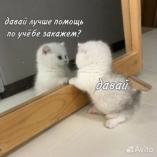 Сделаю дз. Химия, английский, русский