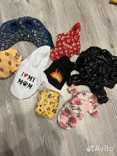 Одежда для маленькой собачки