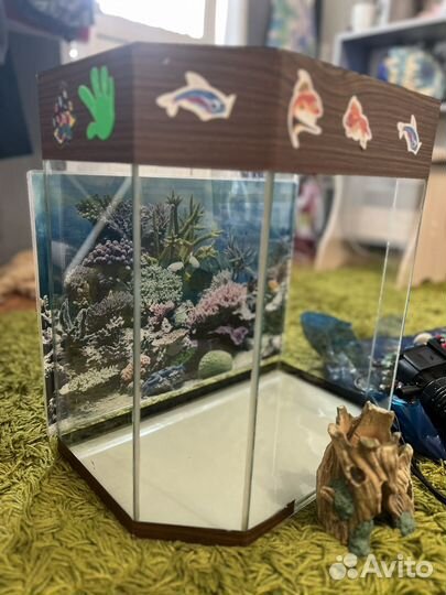 Аквариум 20-25л